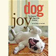 狗乔伊:宇宙中最快乐的狗